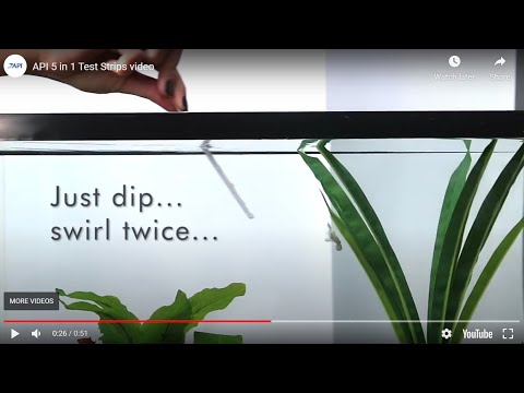 API 5 In 1 Freshwater And Saltwater Aquarium Test Strips 01