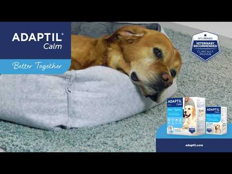 Adaptil Calm Diffuser Set & Refill 06