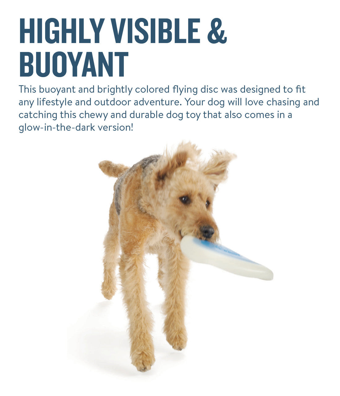 Planet Dog Orbee-Tuff Zoom Flyer Disc Dog Fetch Toy Glow in the Glow & Orange