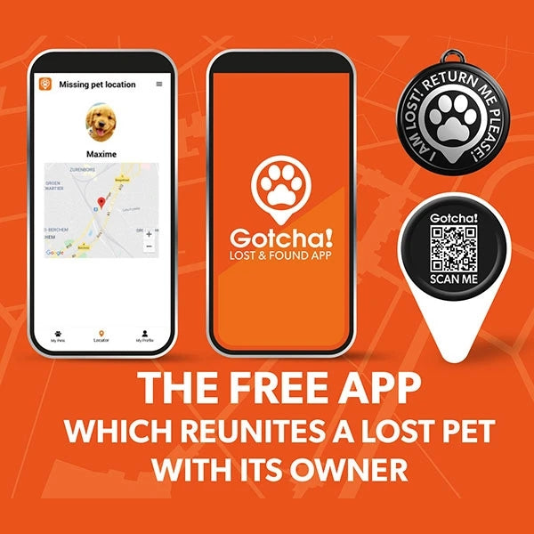 Max & Molly Smart Id Cat Collar - Black Sheep 02