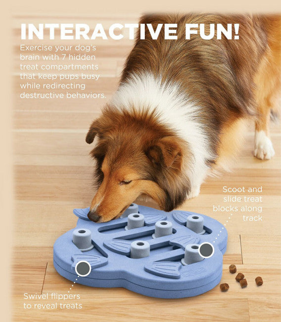 Nina Ottosson Puppy Hide N Slide - Level 2