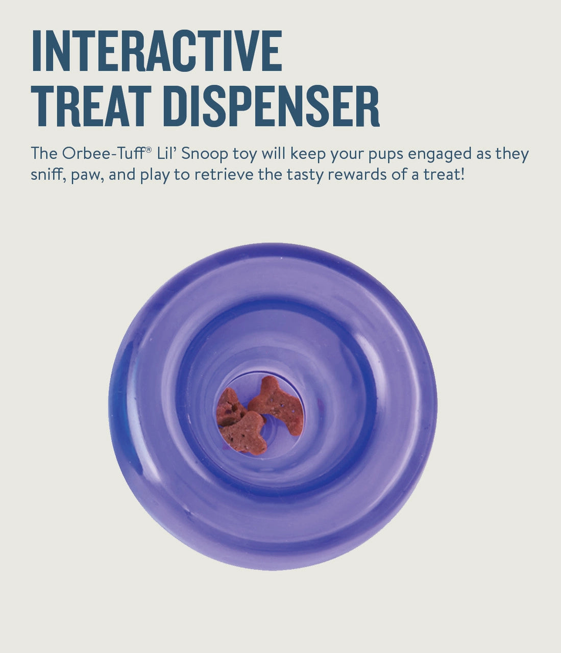 Planet Dog Orbee-Tuff Lil Snoop Interactive Treat Dispensing Dog Toy