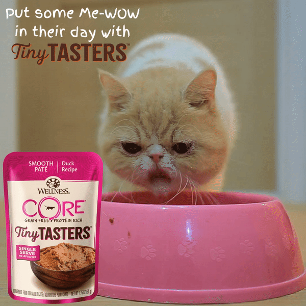 Wellness Core Wet Cat Food Tiny Tasters Duck Pate