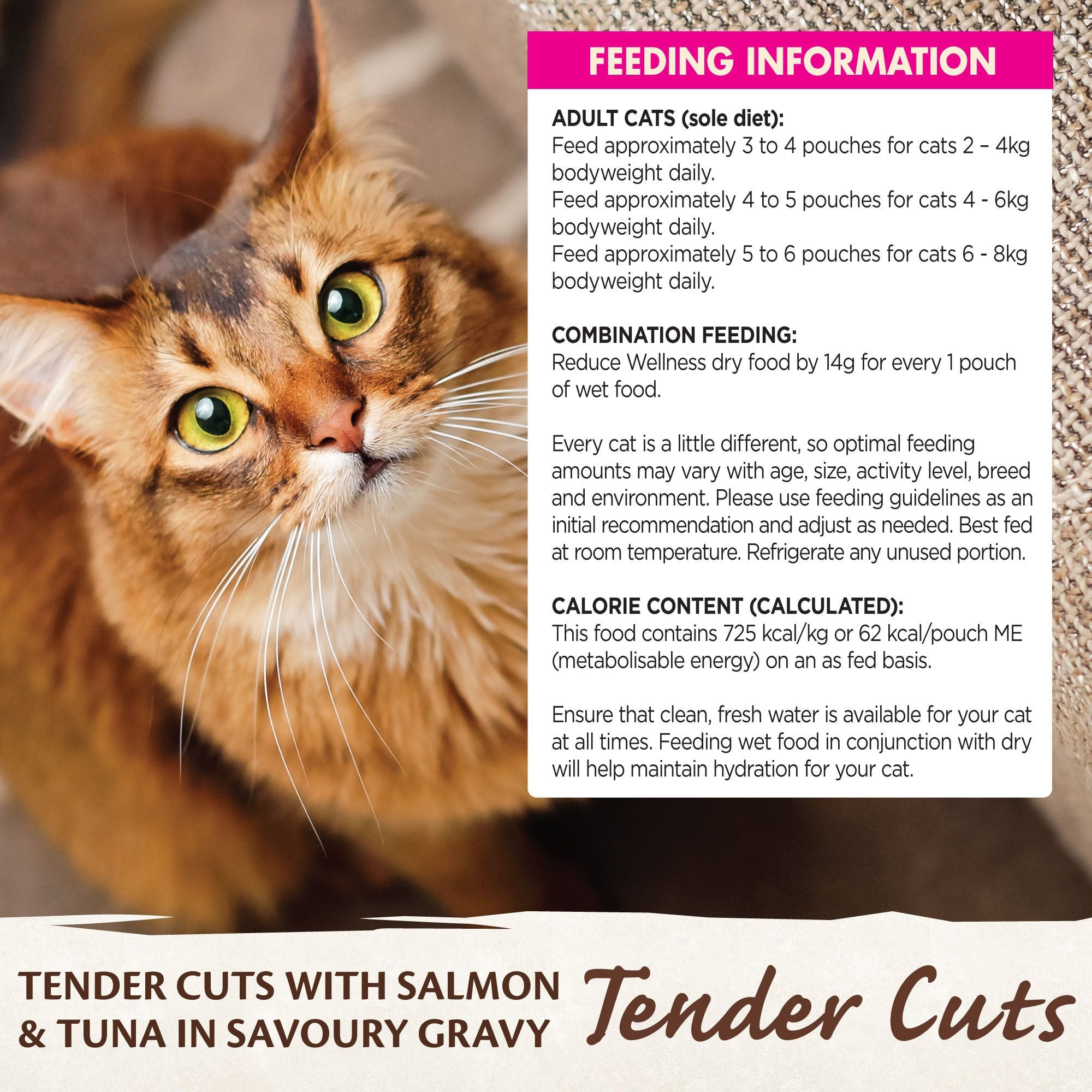 Wellness Core Wet Cat Food Tender Cuts With Salmon & Tuna In Savoury Gravy