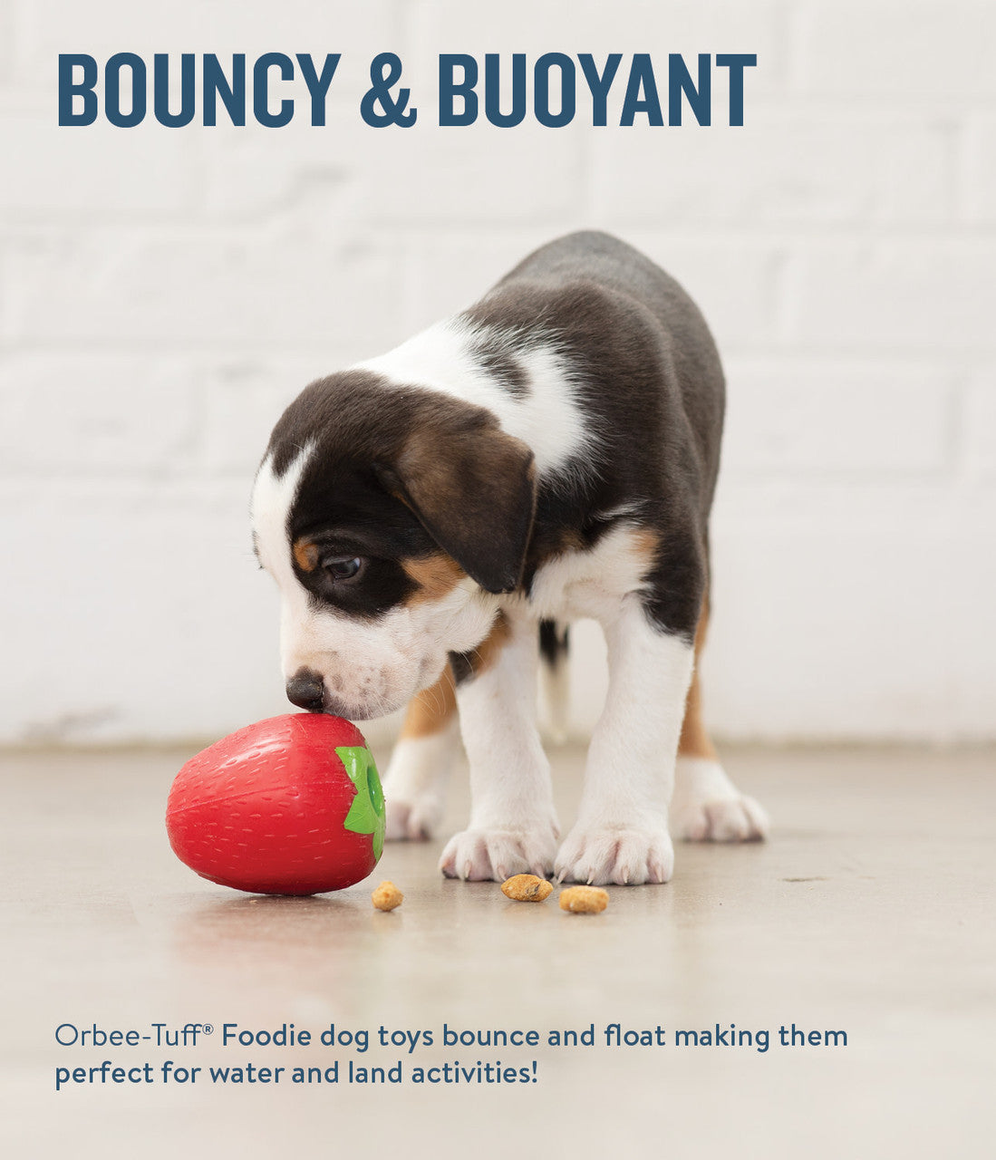 Planet Dog Orbee-Tuff Strawberry Treat-Dispensing Dog Chew Toy