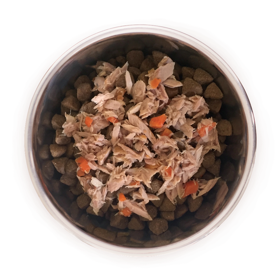Wellness Core Wet Dog Food Simply Shreds Flaked Tuna, Beef & Carrots