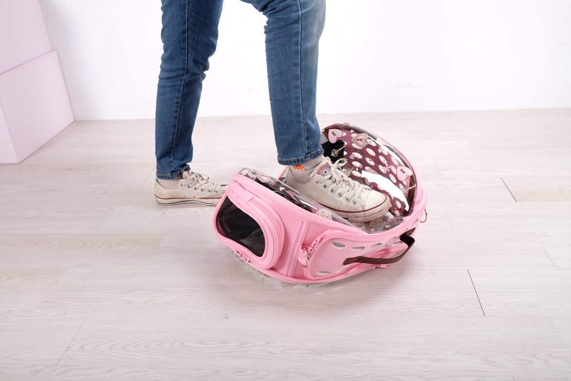 Ibiyaya Valentine Transparent Hardcase Portable Carrier, Design for Travel, Outdoor Use 07