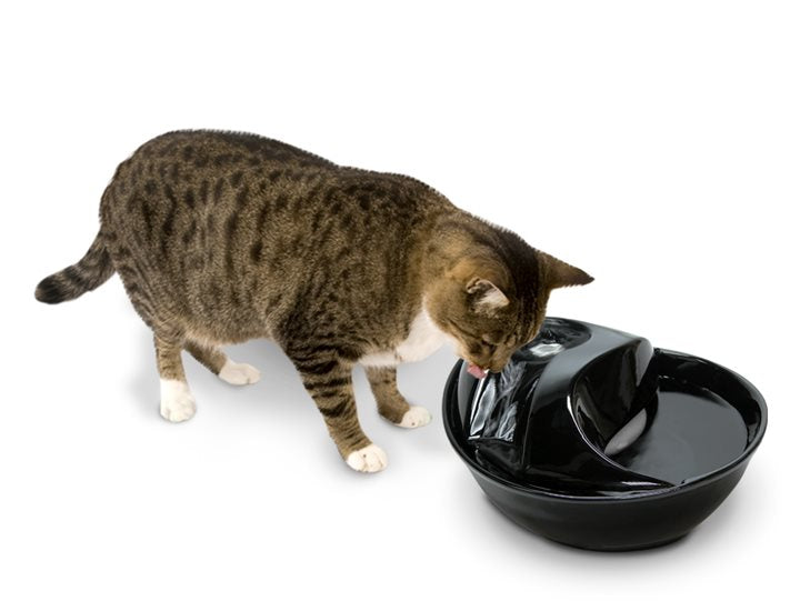 Pioneer Pet RainDrop Ceramic Drinking Fountain 1.7 Litres 6022