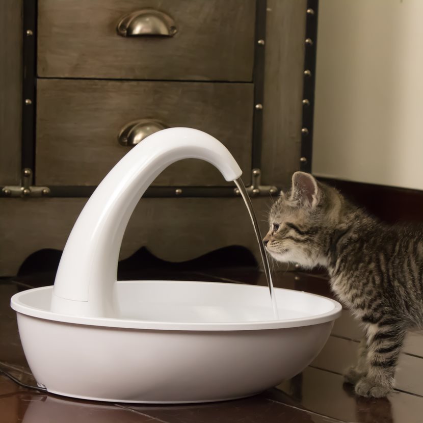 Pioneer Pet Swan Plastic Fountain 2.3 Litres 3075