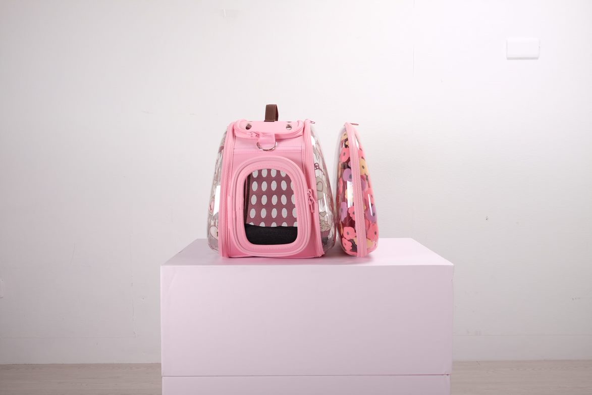 Ibiyaya Valentine Transparent Hardcase Portable Carrier, Design for Travel, Outdoor Use 09