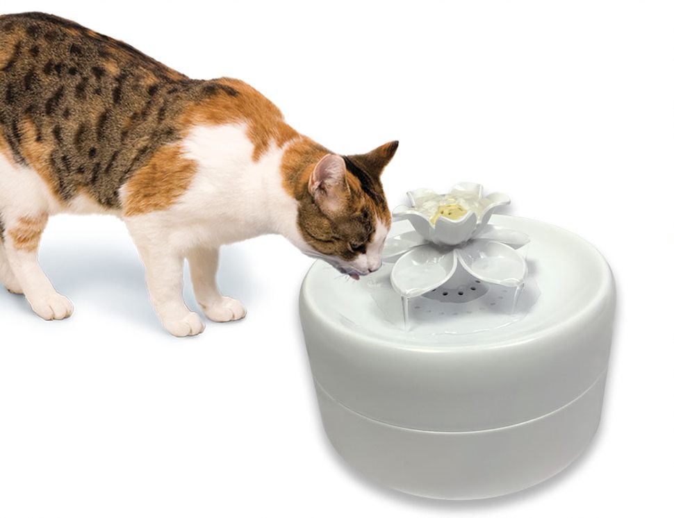 Pioneer Pet Magnolia Drinking Fountain 1.6Litres 3044