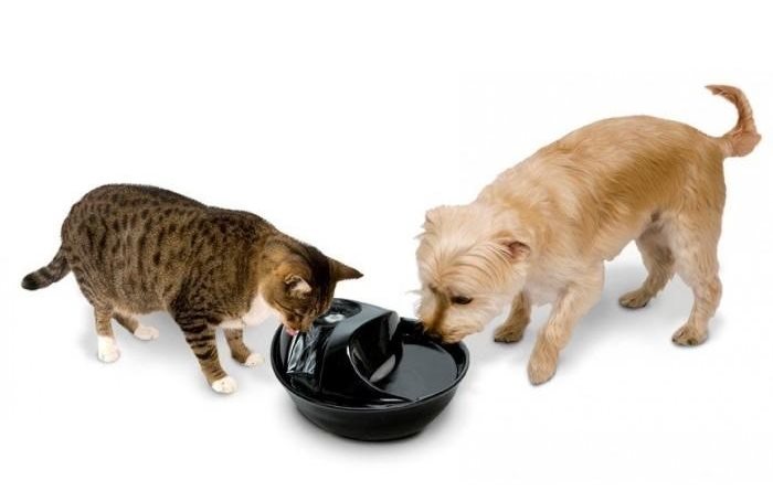 Pioneer Pet RainDrop Ceramic Drinking Fountain 1.7 Litres 6022