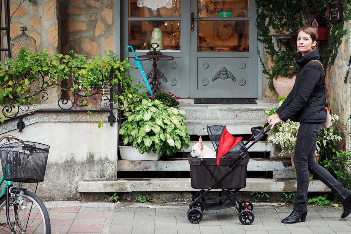 Ibiyaya Easy Strolling Pet Buggy Travel Carriage 11