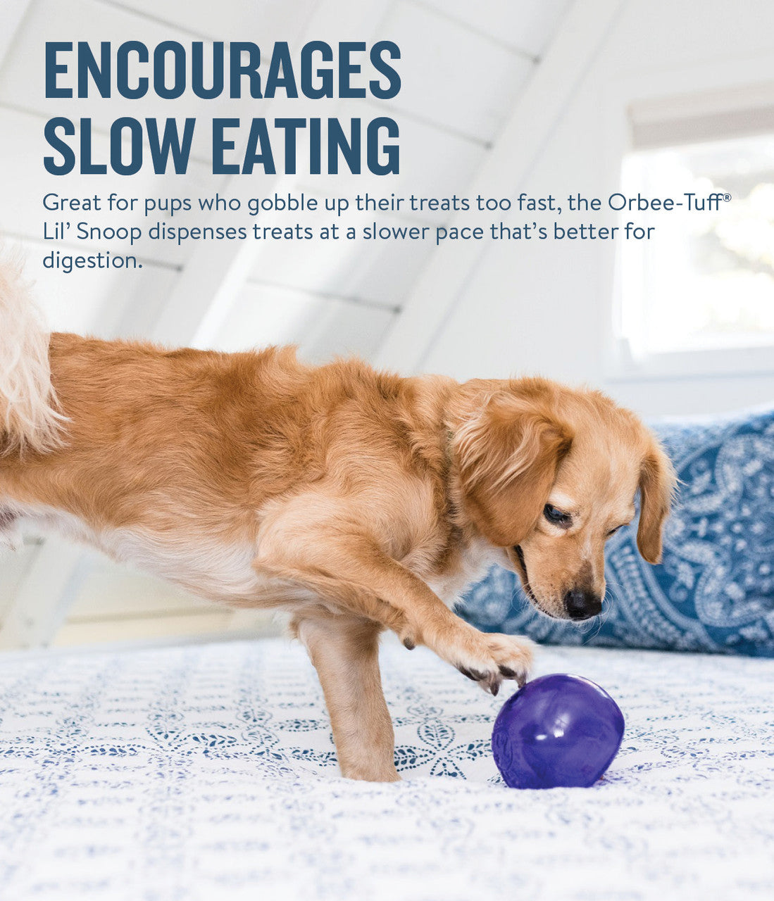 Planet Dog Orbee-Tuff Mazee Interactive Puzzle Dog Toy