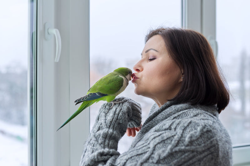 woman with a parrot