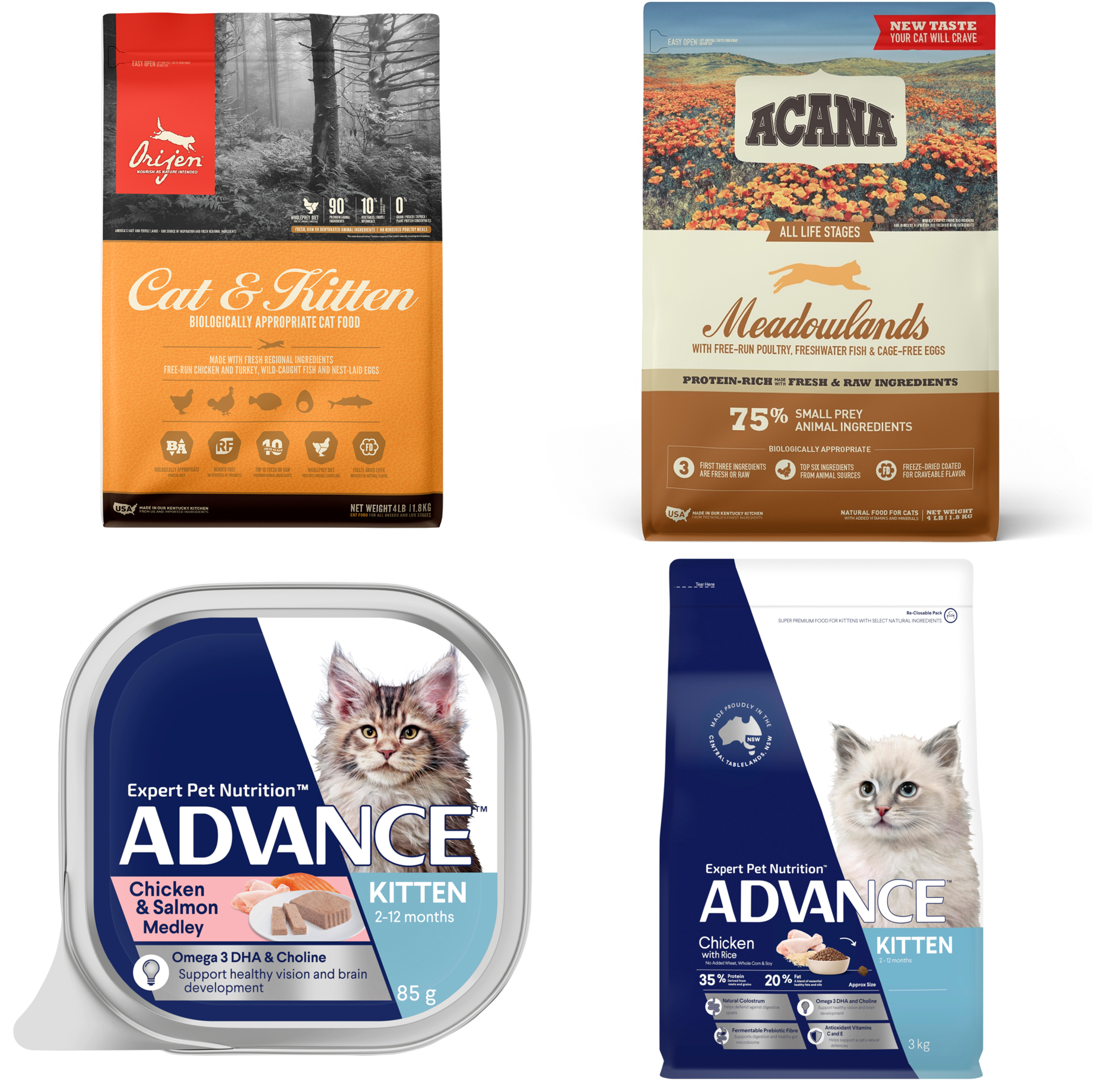 Kitten Food