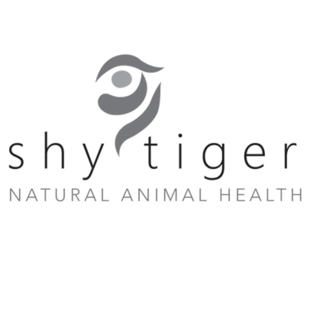 Shy Tiger