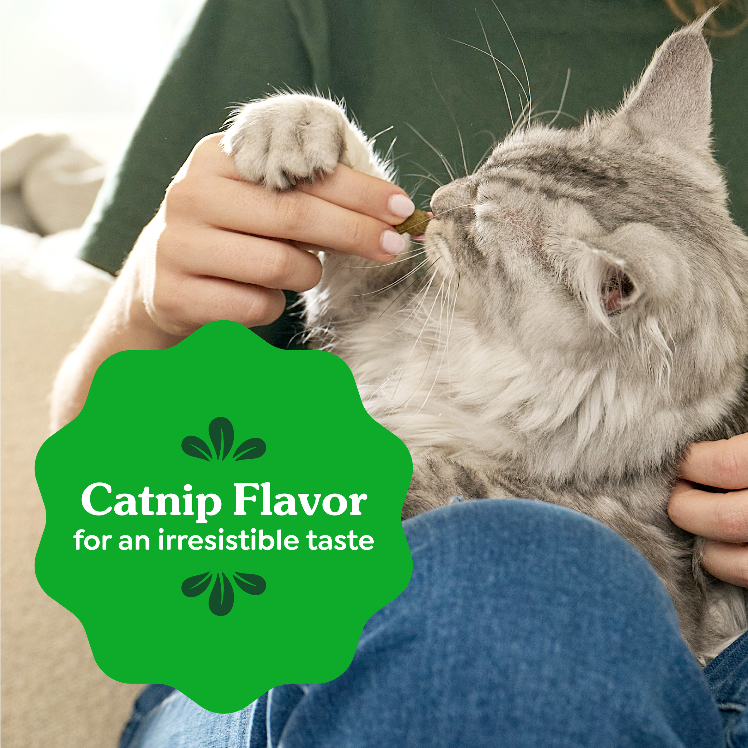 GREENIES Feline Dental Cat Treat Catnip Flavour product detail 7