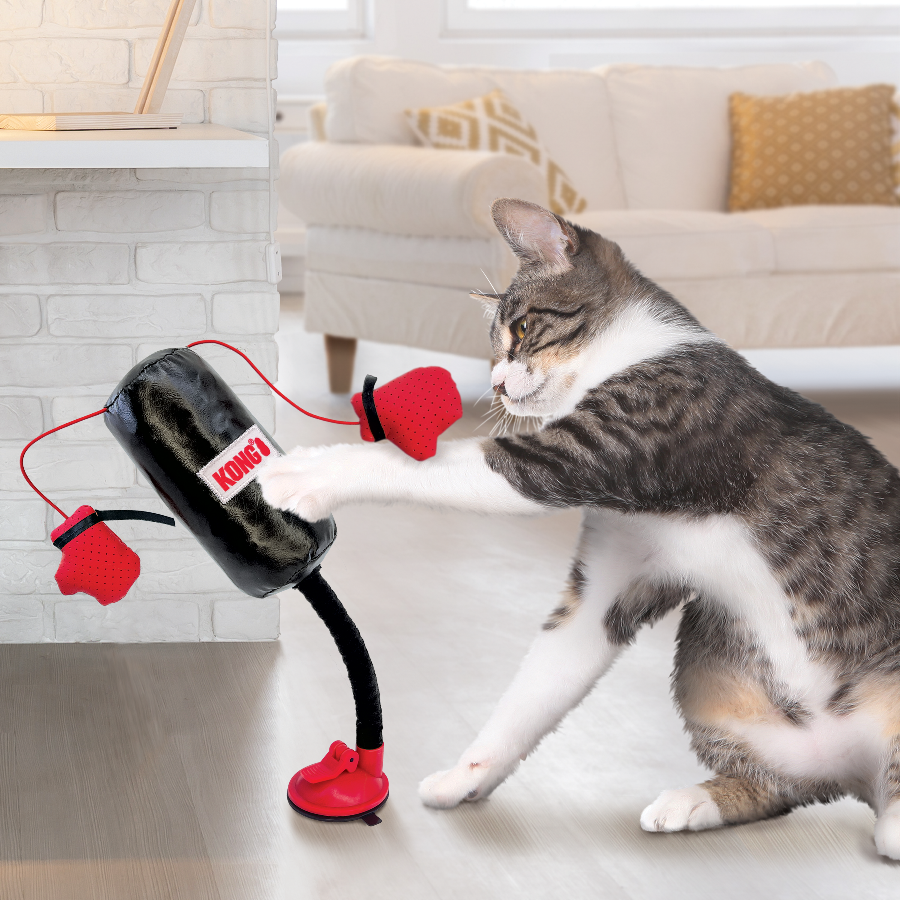 Cat playing with the KONG Cat Toys Connects Punching Bag