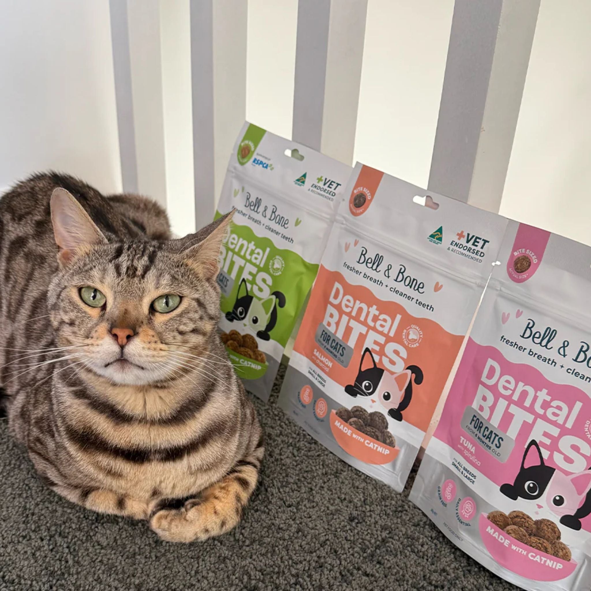 Bell and Bone Adult Cat Dental Bites - Chicken with Blueberry