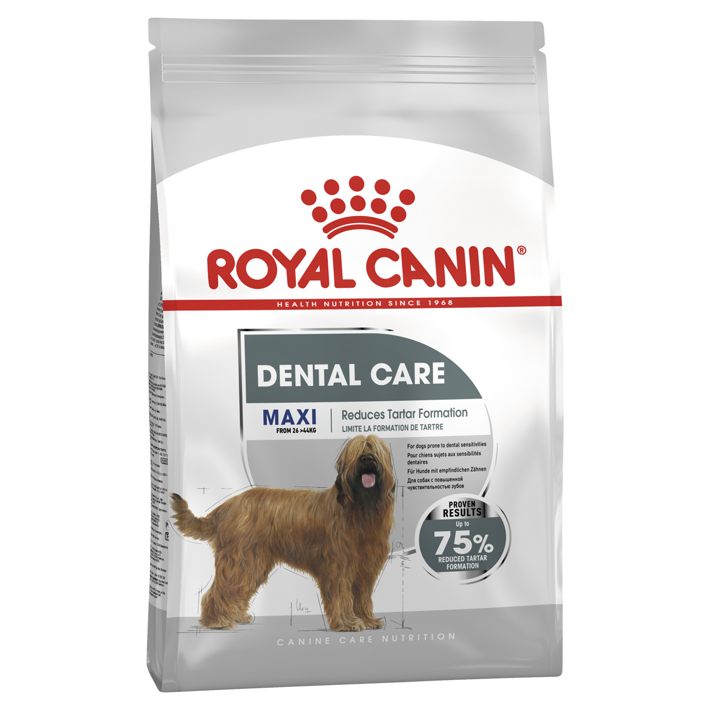 Royal Canin Maxi Dental Care front of pack