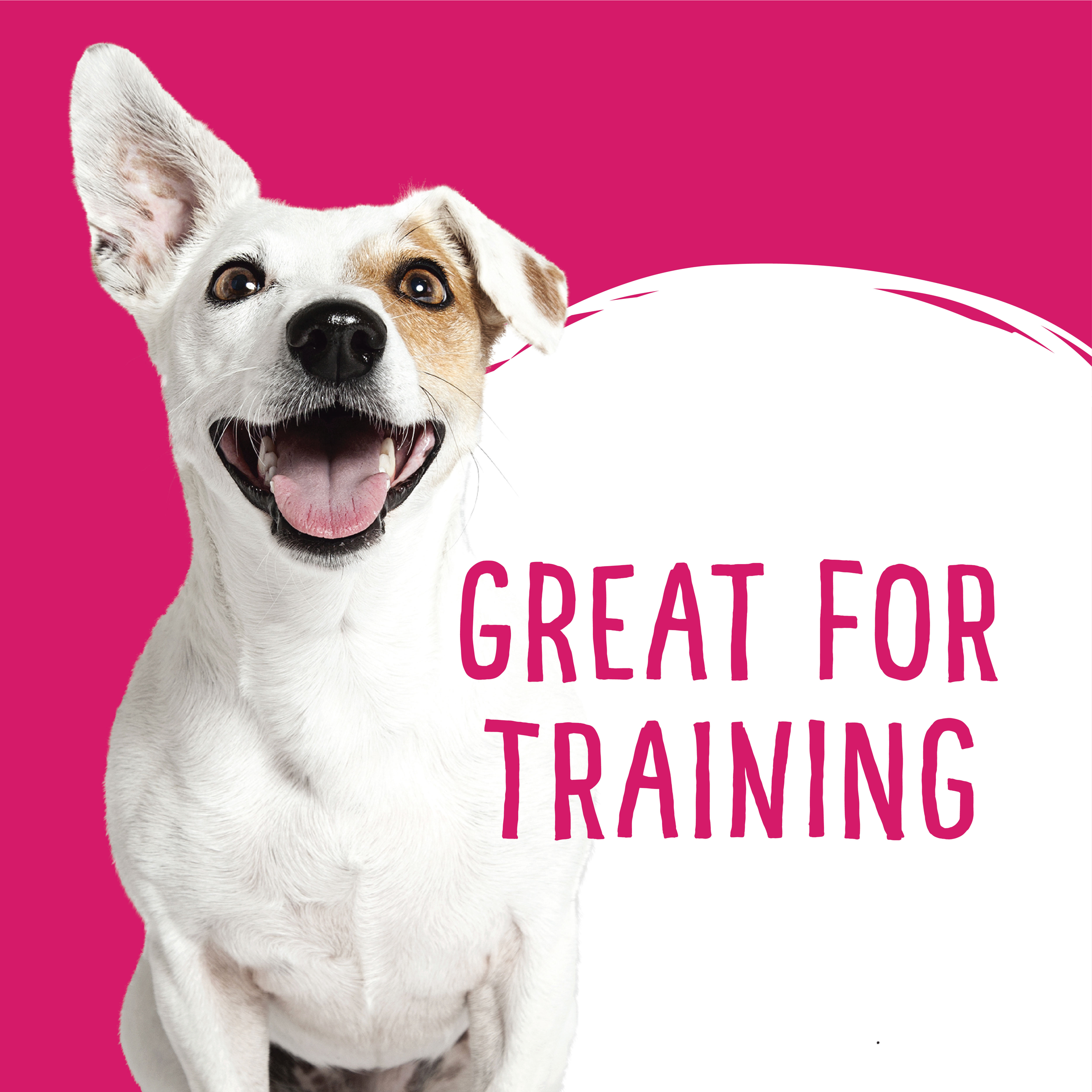 Love'em Kangaroo Dog Training Treats product detail 3