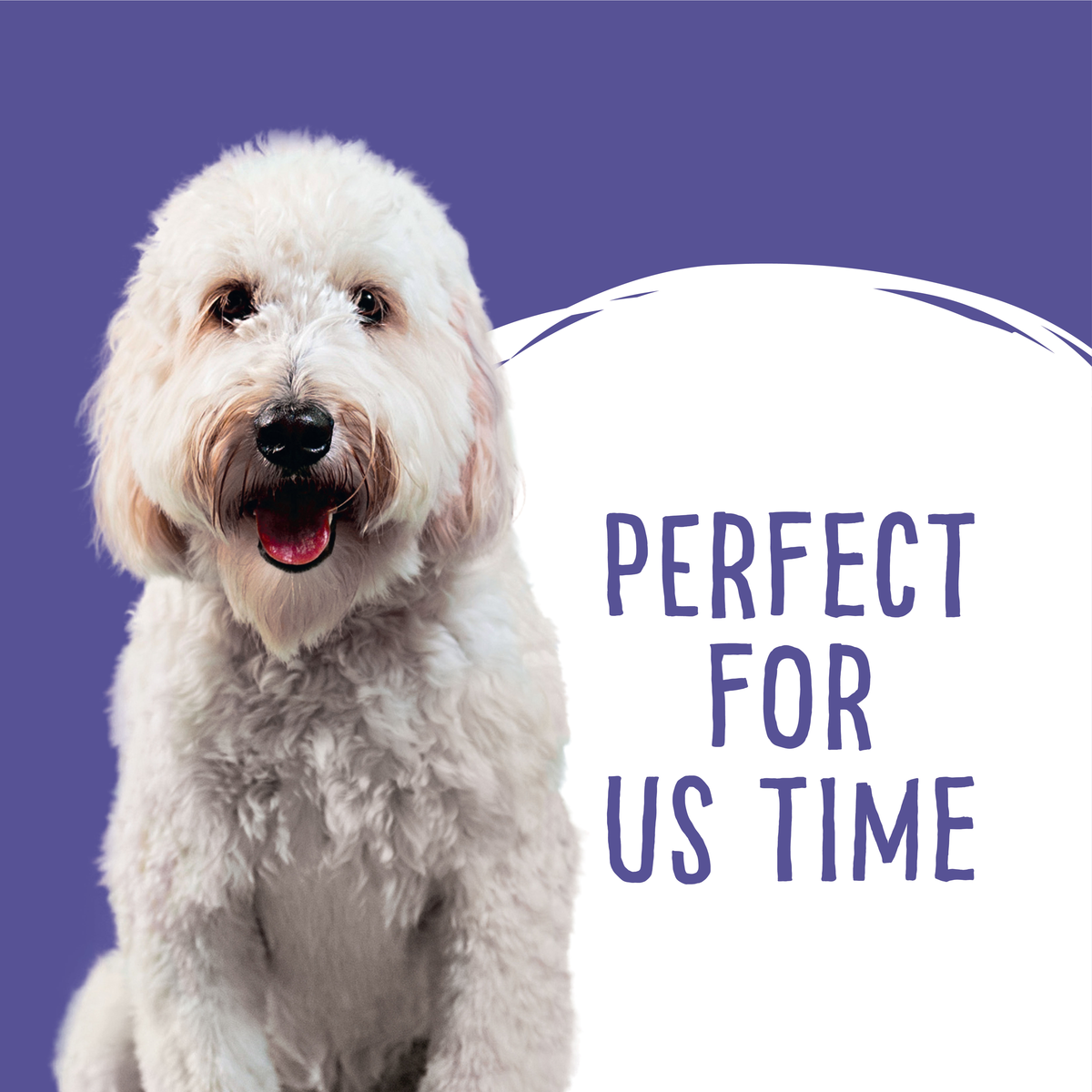 Love'em graphic of a white labradoodle on purple beside the words 'perfect for us time'