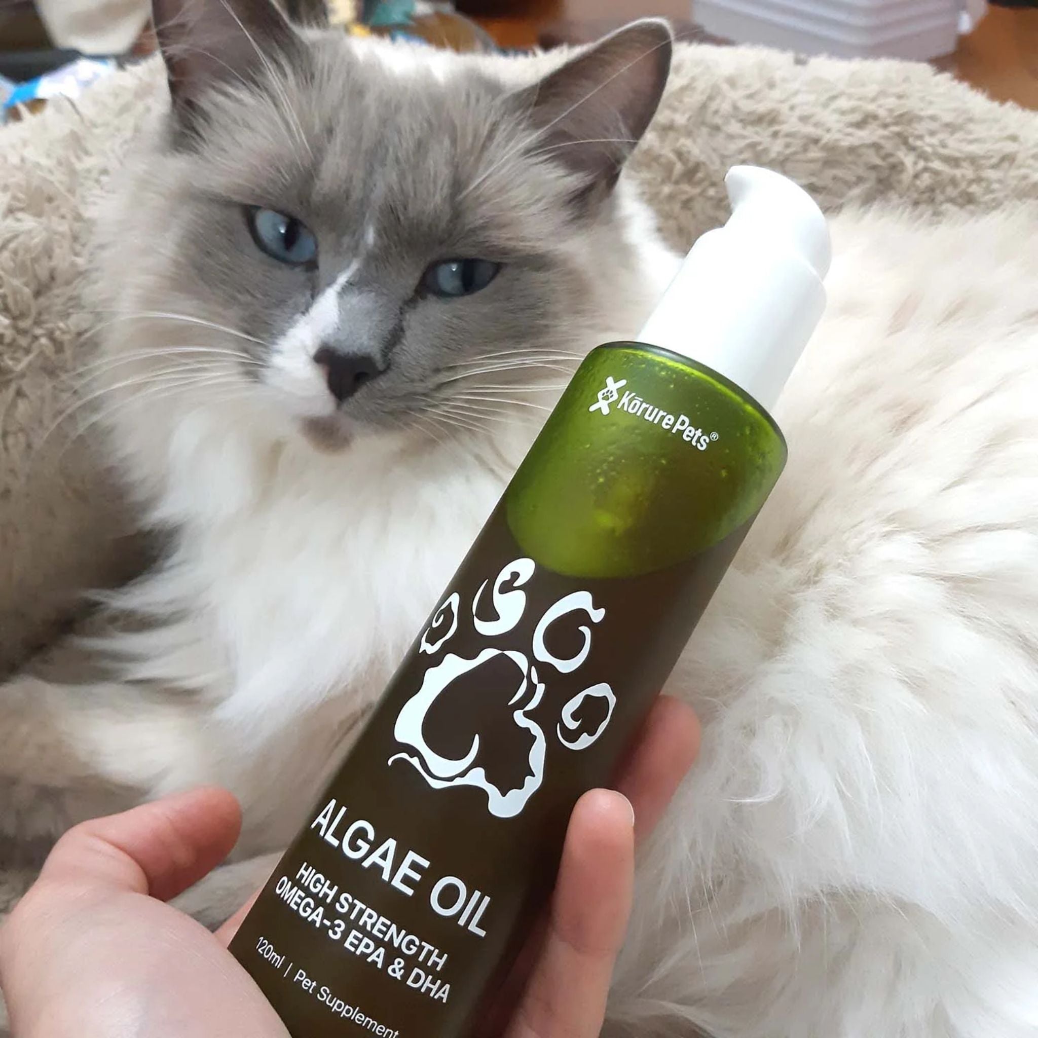 Korure Pets Algae Oil for Cats