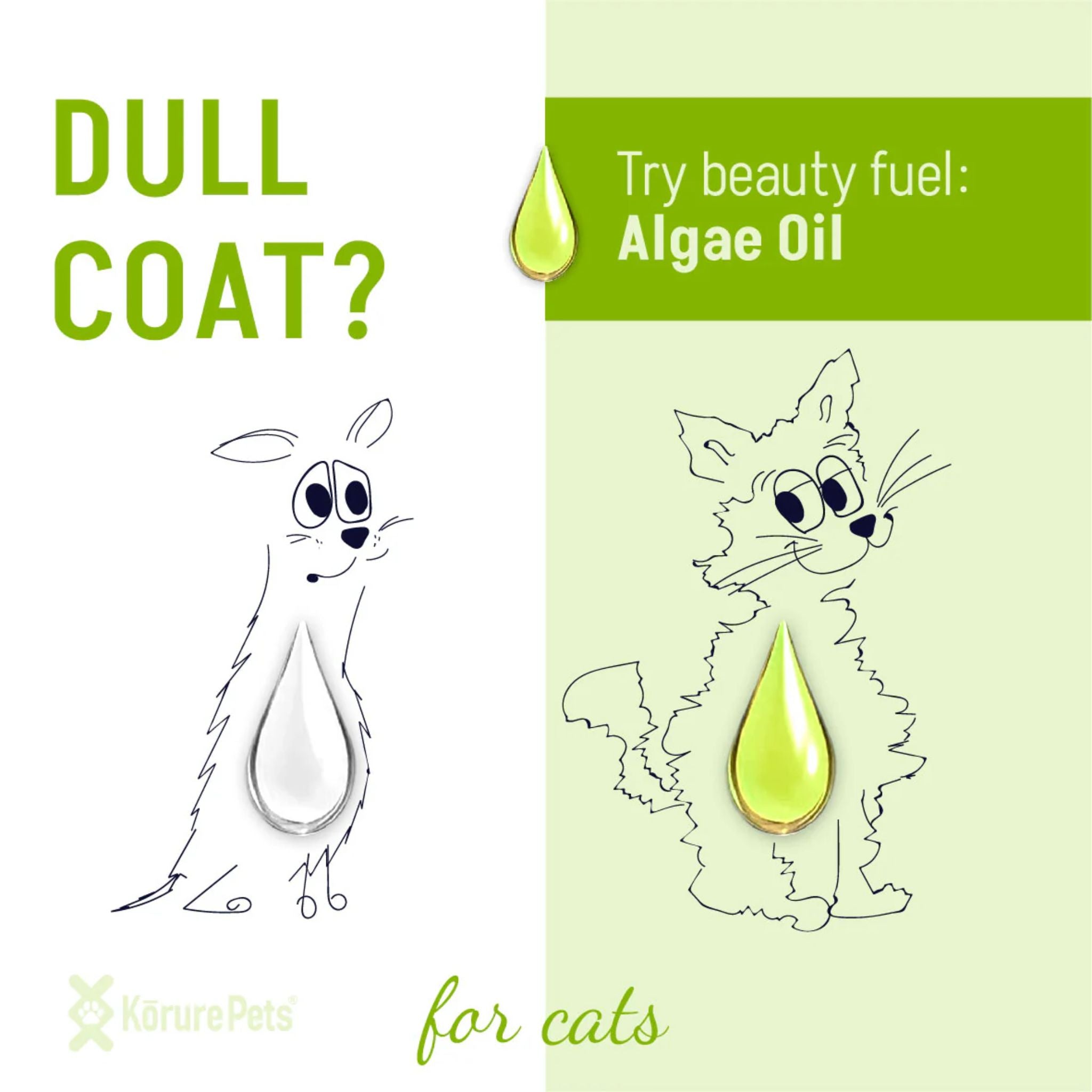 Korure Pets Algae Oil for Cats