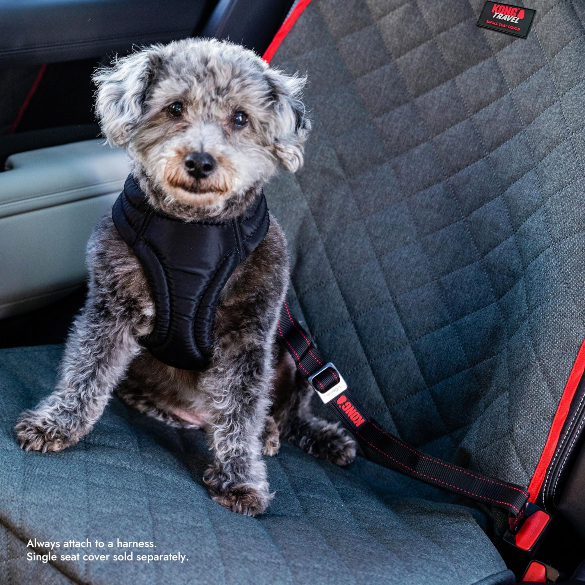 KONG Seat Belt Tether