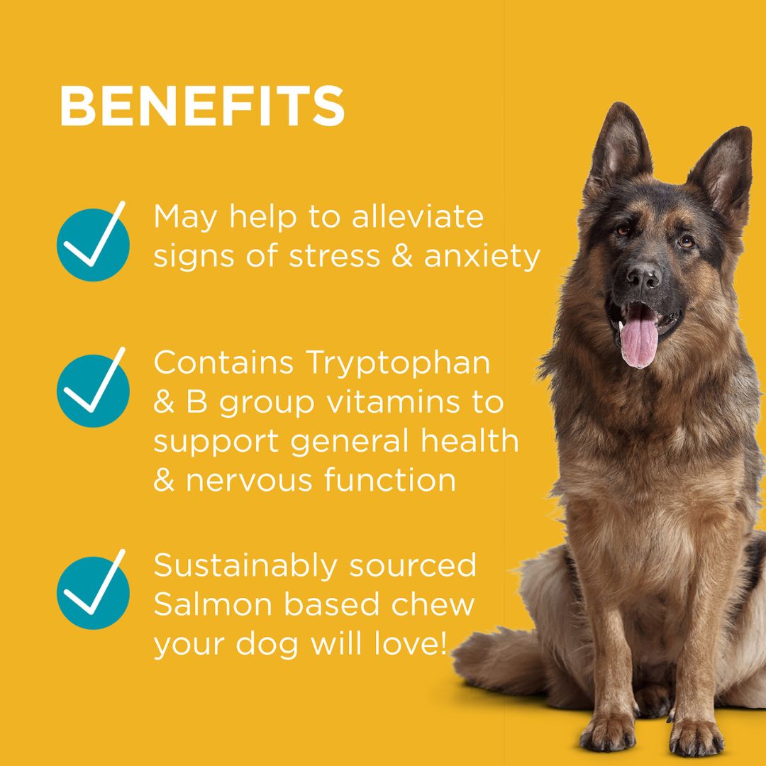 PAW by Blackmores Complete Calm Multivitamin & Tryptophan Chews
