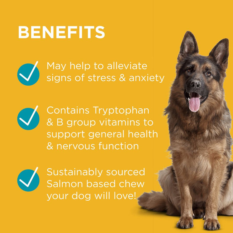 PAW by Blackmores Complete Calm Multivitamin & Tryptophan Chews