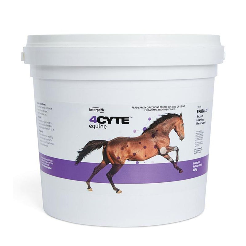 4Cyte Horse Granules