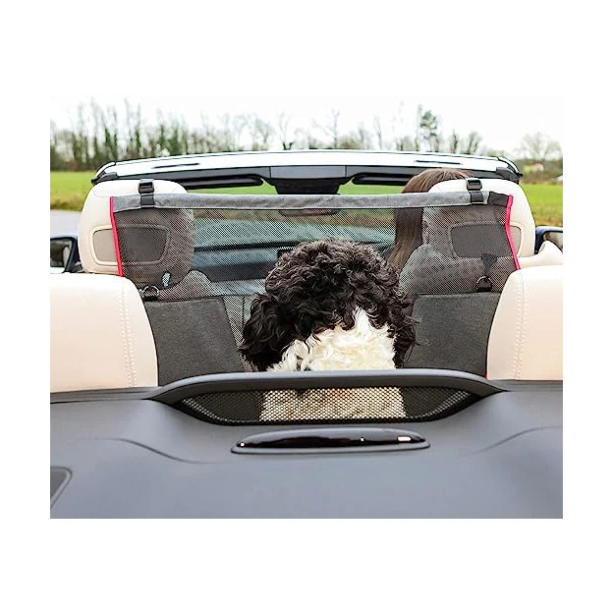 KONG Protective Seat Barrier