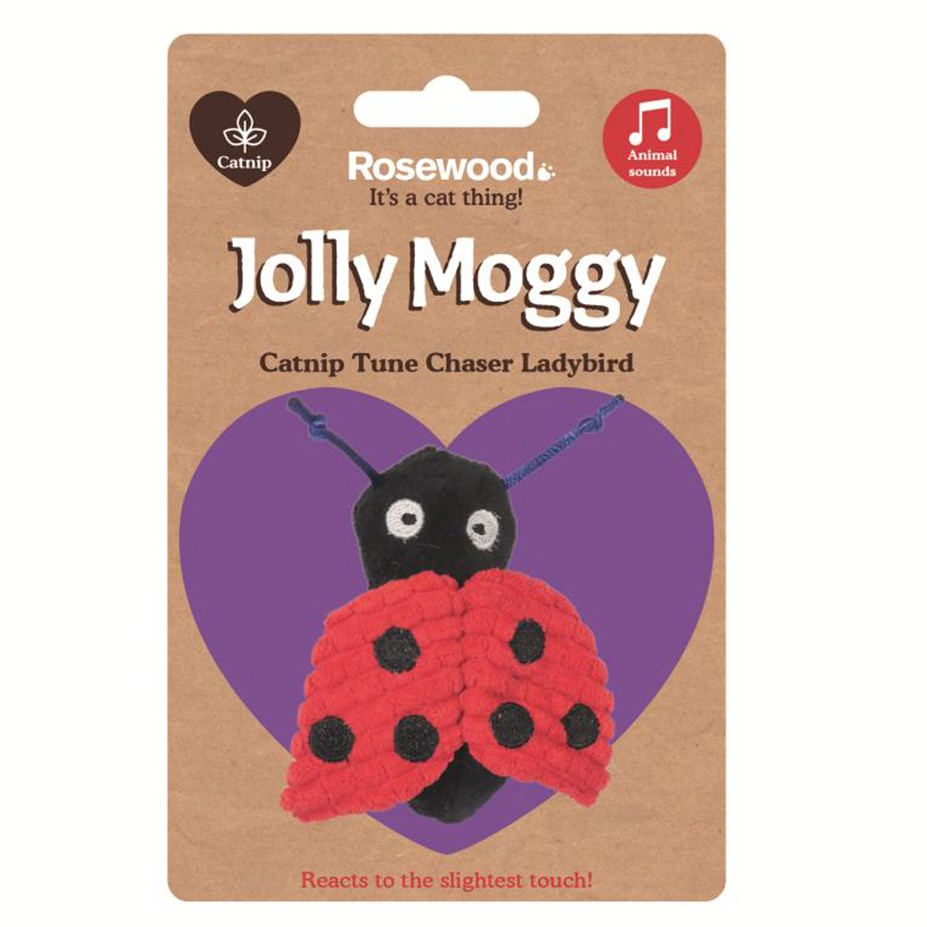 Rosewood Cat Toys Catnip Tune Chaser Ladybird