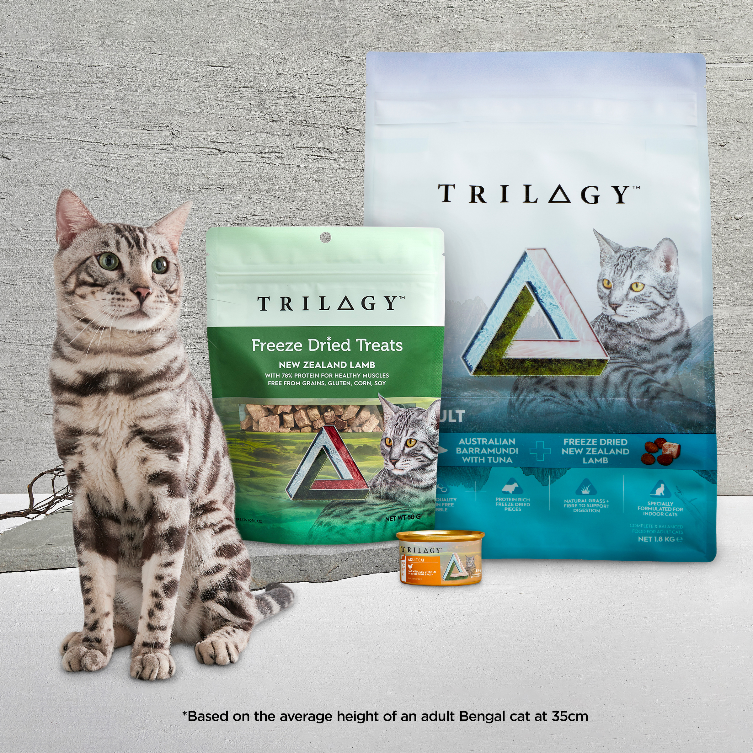 Trilogy Dry Adult Cat Food Australian Salmon + Freeze Dried Lamb product detail 11