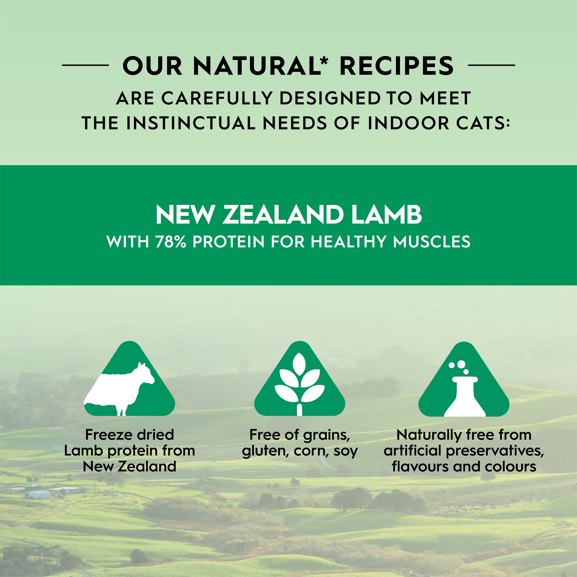 Trilogy Freeze Dried Cat Treats Lamb product detail 5