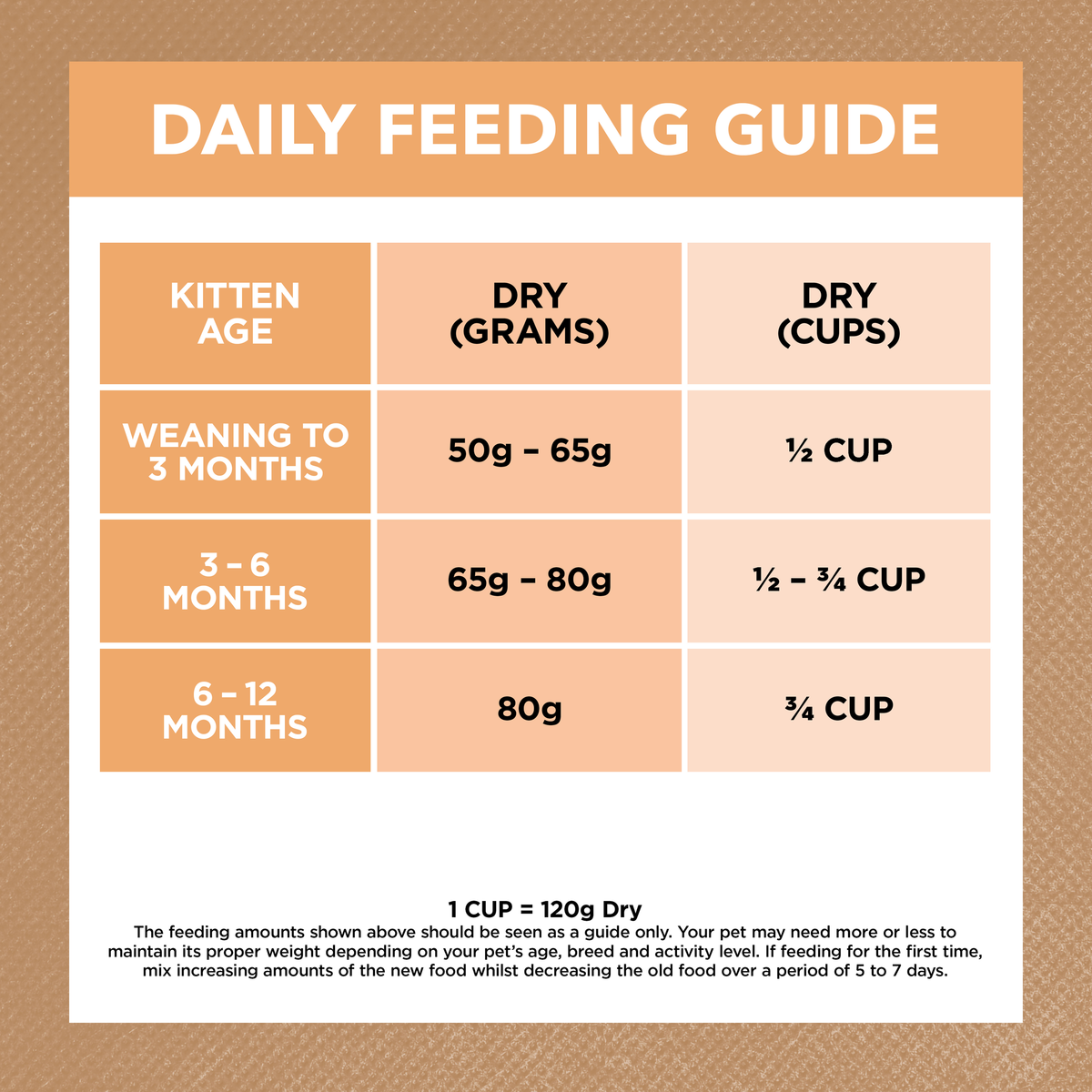 Ivory Coat kitten food feeding guide, grams and cups per day by kitten age