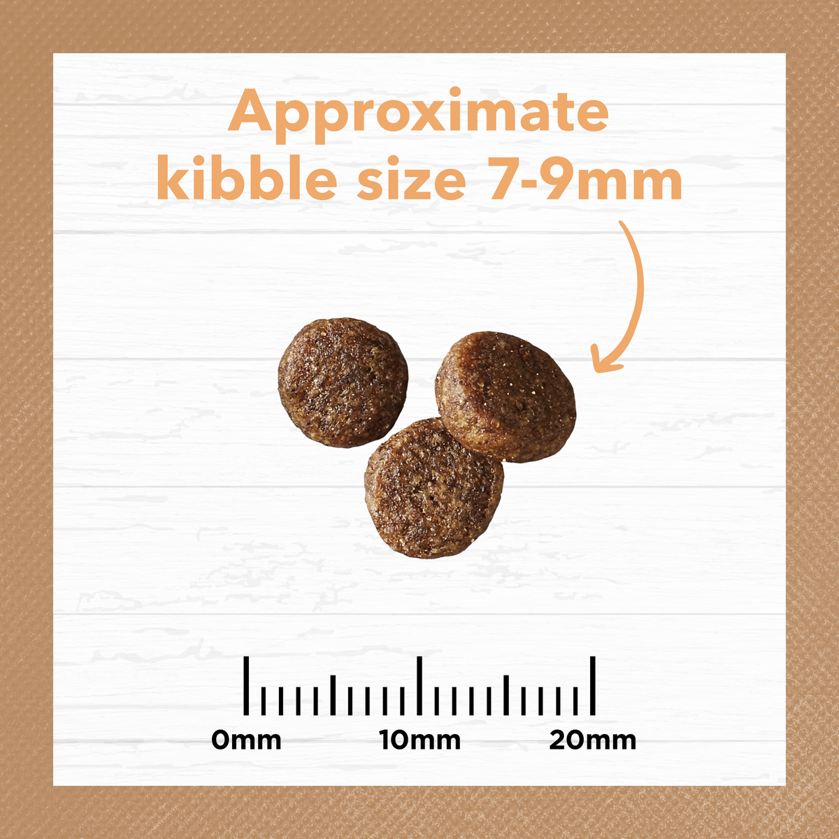Ivory Coat kitten kibble measured against a ruler, approximately 7 to 9mm across
