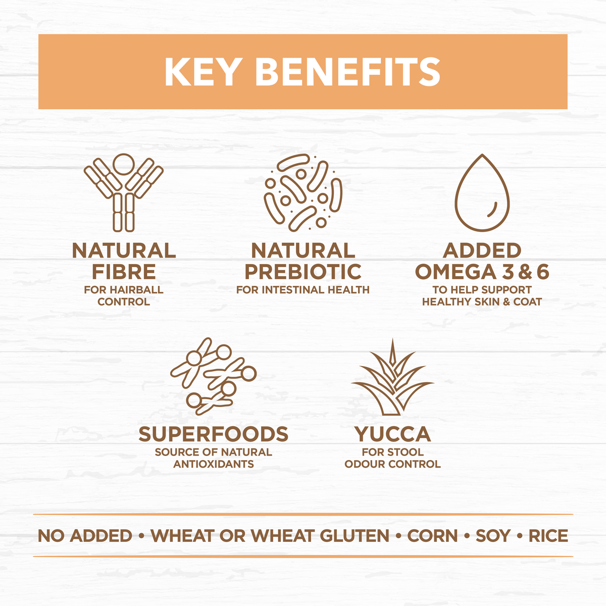 Ivory Coat key benefits: natural fibre, prebiotic, omega 3 and 6, superfoods, yucca for odour