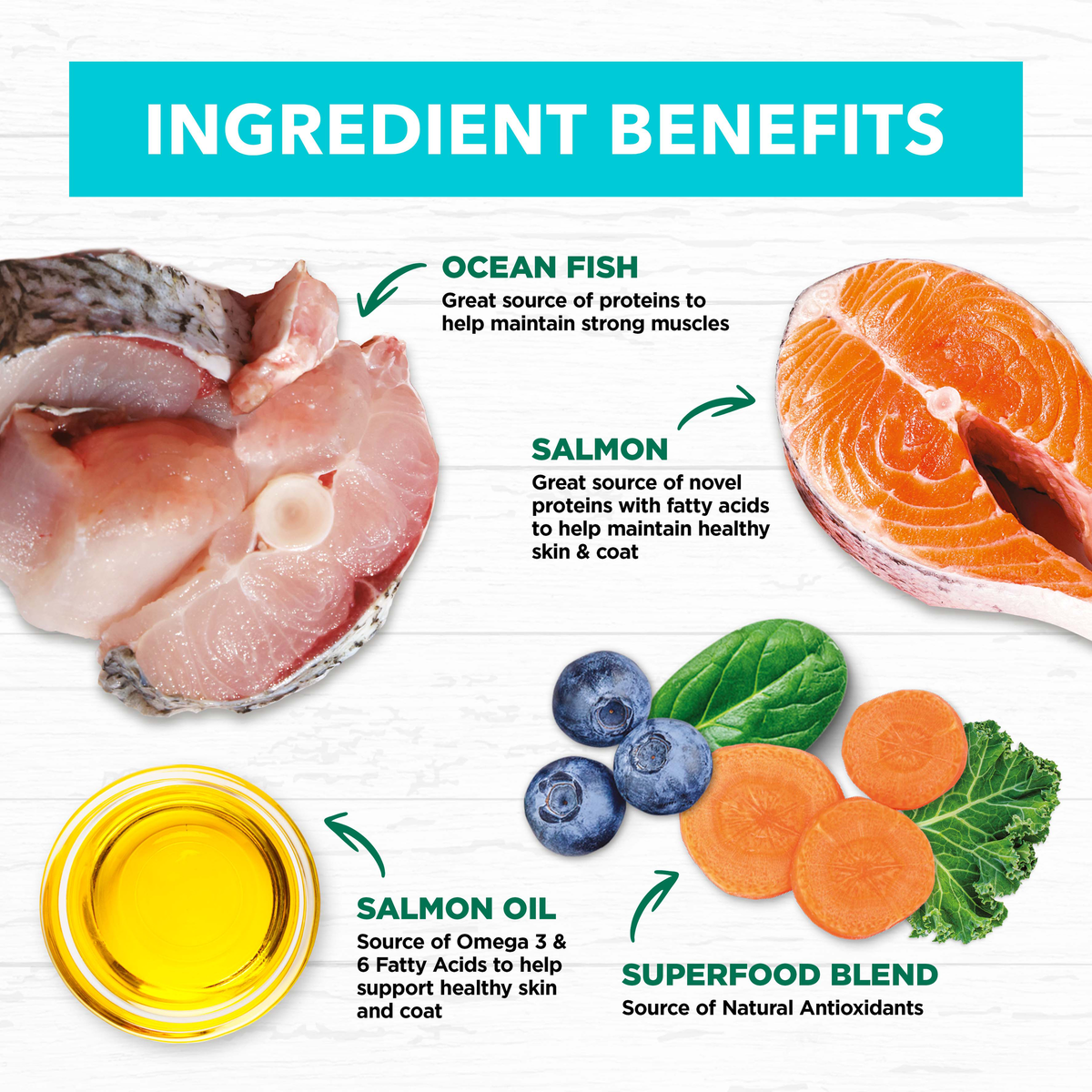 Ivory Coat ingredient benefits: ocean fish, salmon, salmon oil, superfood blend