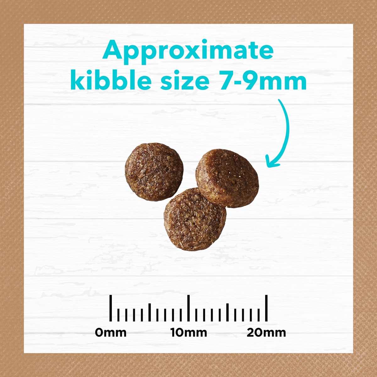 Ivory Coat kitten kibble measured against a ruler, approximately 7 to 9mm across