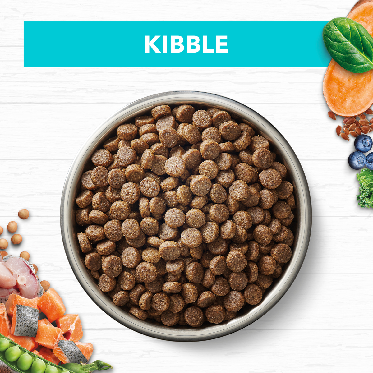 Ivory Coat Grain Free Ocean Fish and Salmon kitten kibble in a bowl with raw ingredients