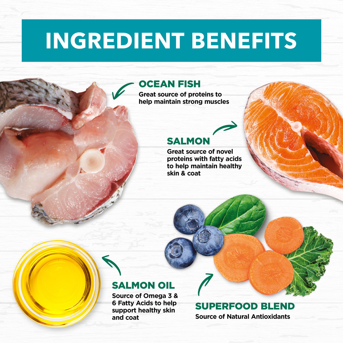 Ivory Coat ingredient benefits: ocean fish, salmon, salmon oil, superfood blend