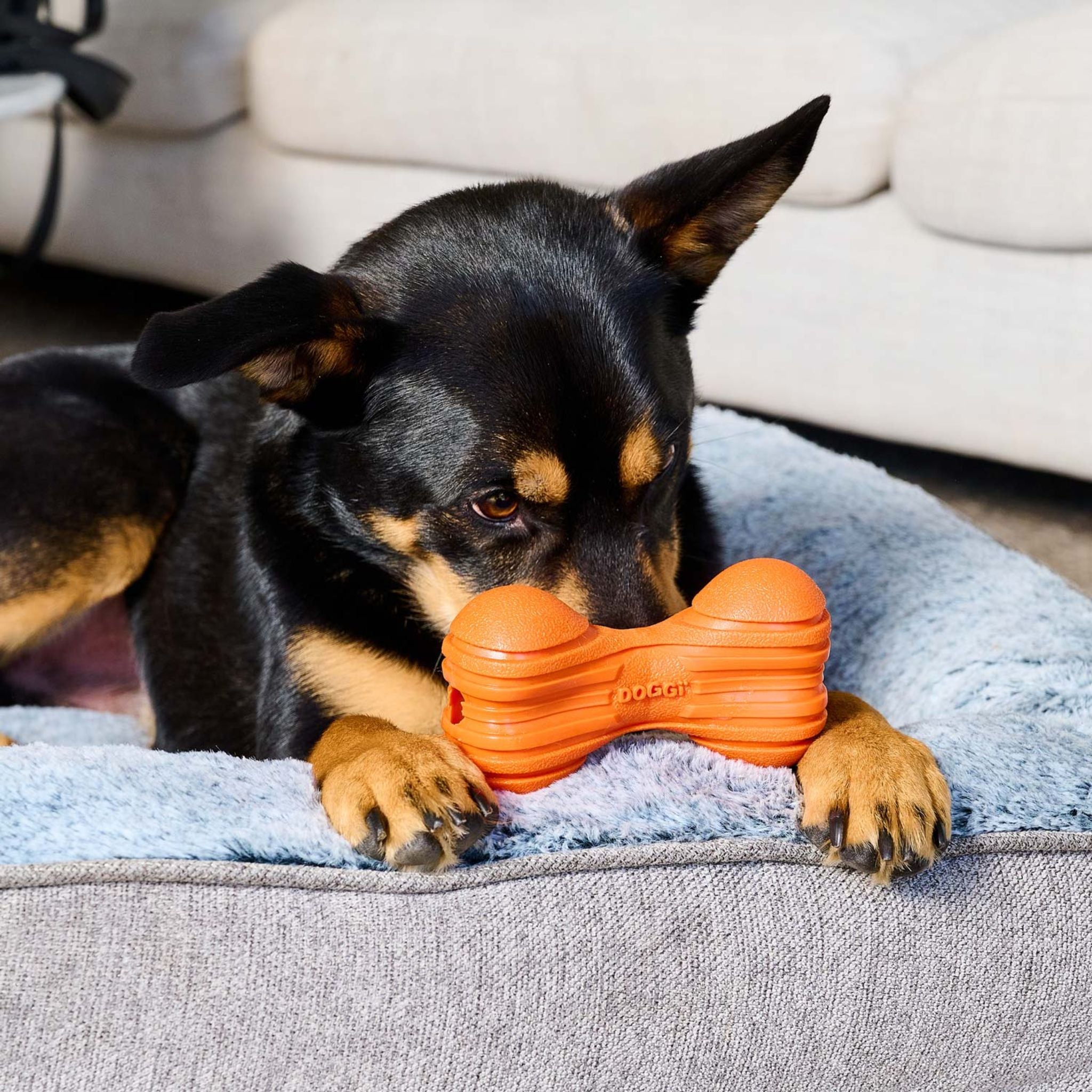 Doggi Ribbed Bone Dog Toy