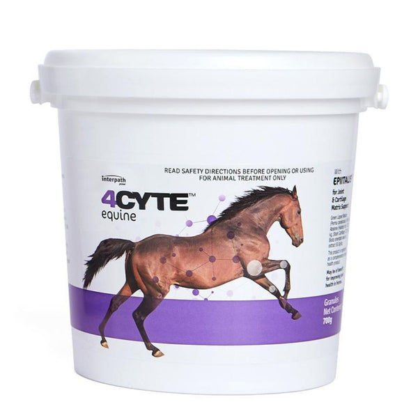 4Cyte Horse Granules