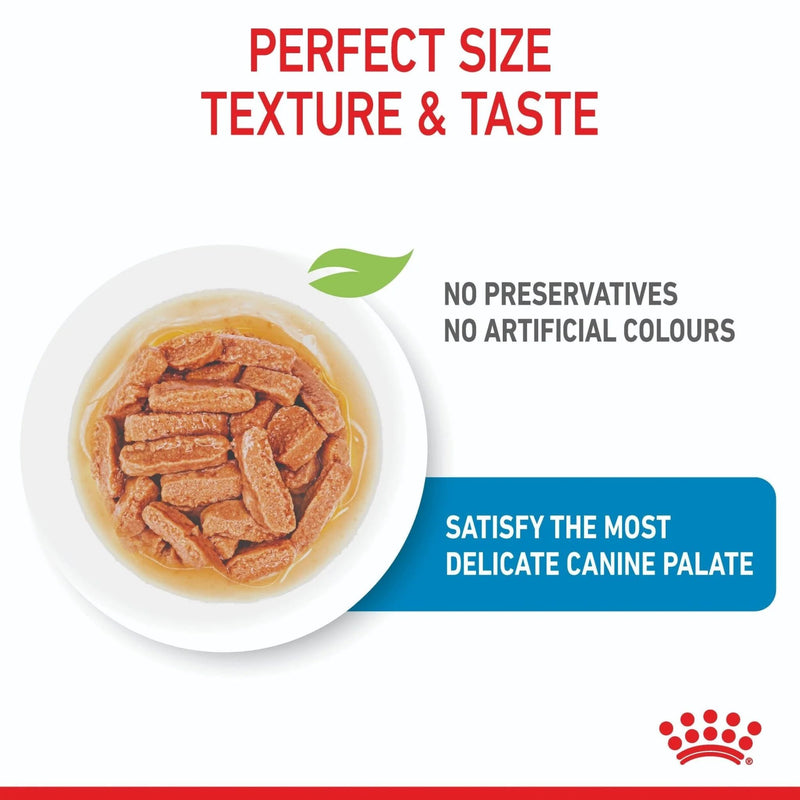 Royal Canin Medium Puppy 140gx10 Pouches