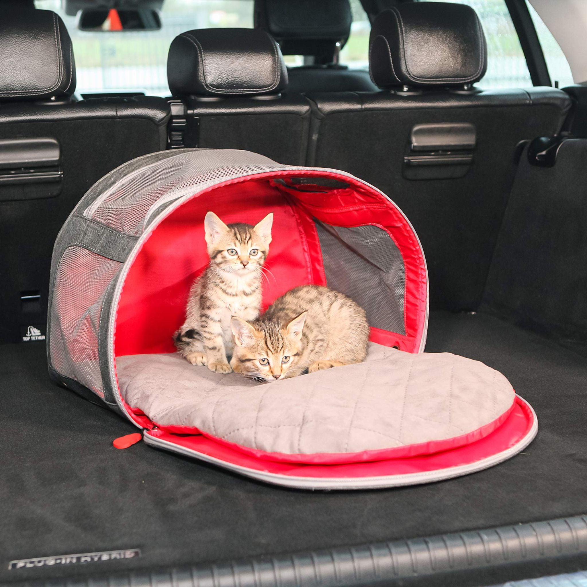 KONG Pet Carrier & Travel Bed Mat 2-In-1