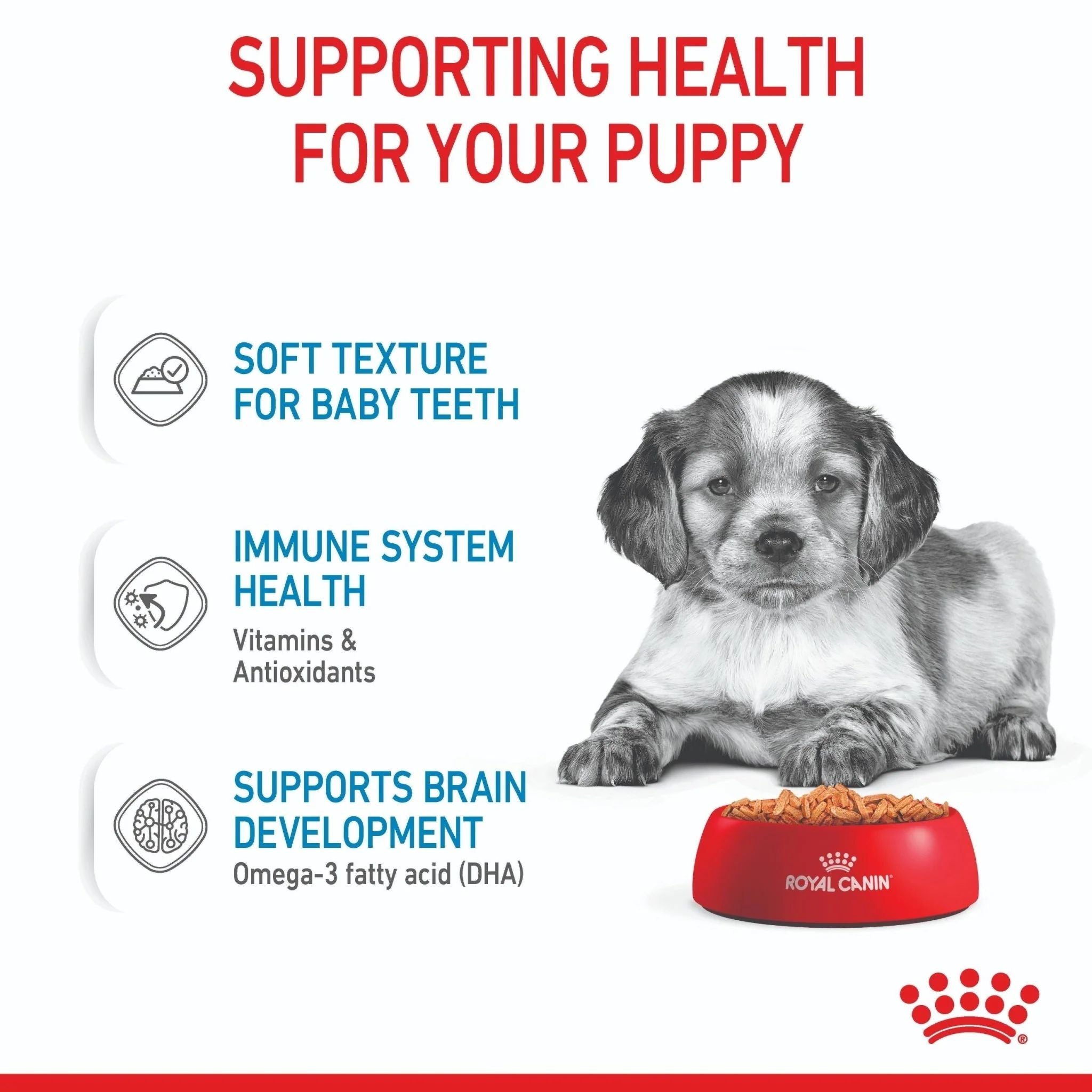 Royal Canin Medium Puppy 140gx10 Pouches
