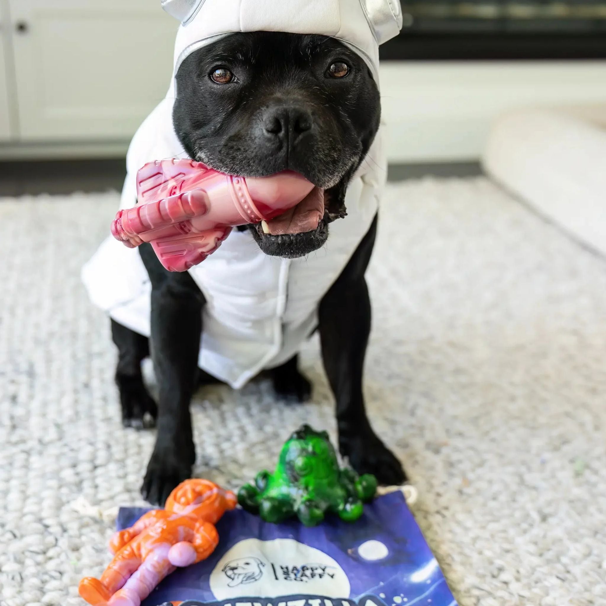 Happy Staffy Co Chewzilla Galactic Quest Collection Dog Toy